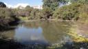 Rotorua - Kuirau Park