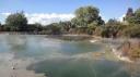Rotorua - Kuirau Park