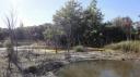 Rotorua - Kuirau Park