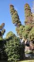 Rotorua - De Overheidstuinen
