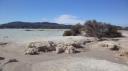 Rotorua - Rotorua Meer