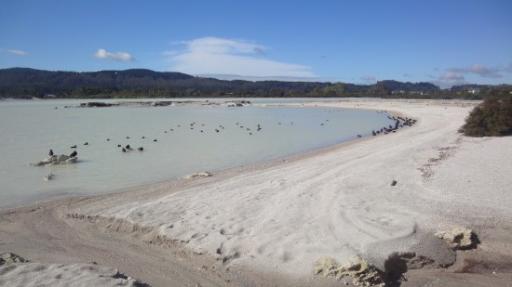 Rotorua - Rotorua Meer