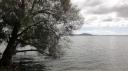 Rotorua - Rotorua Meer