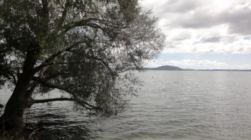 Rotorua - Rotorua Meer