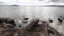 Rotorua - Rotorua Meer