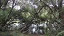 Warakei Park - Huka Watervallen