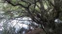 Warakei Park - Huka Watervallen