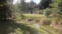 Warakei Park - Wairakei Terrassen