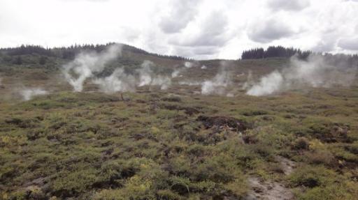 Warakei Park - Kraters van de Maan
