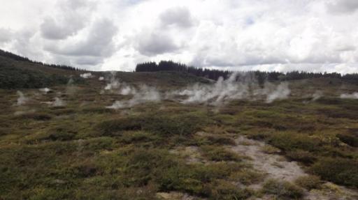 Warakei Park - Kraters van de Maan