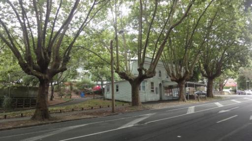 Auckland