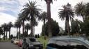 Auckland - Auckland Domein