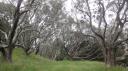 Auckland - Mt Eden