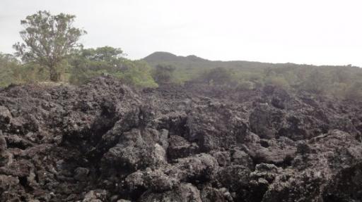 Rangitoto Eiland