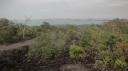 Rangitoto Eiland