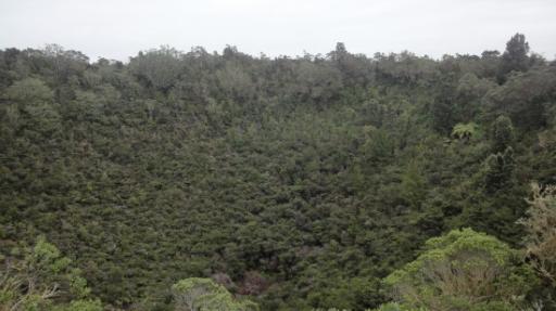 Rangitoto Eiland - Krater