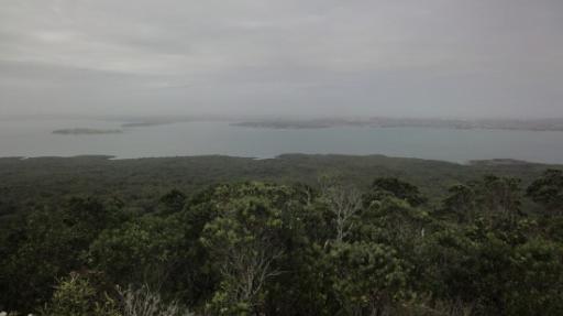 Rangitoto Eiland