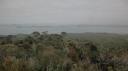 Rangitoto Eiland