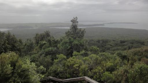 Rangitoto Eiland