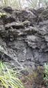 Rangitoto Eiland - Lava Grotten