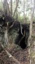 Rangitoto Eiland - Lava Grotten