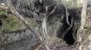 Rangitoto Eiland - Lava Grotten