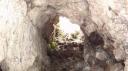 Rangitoto Eiland - Lava Grotten