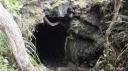 Rangitoto Eiland - Lava Grotten