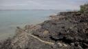 Rangitoto Eiland