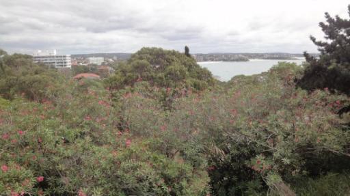 Sydney - Manly