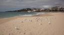 Sydney - Coogee Strand