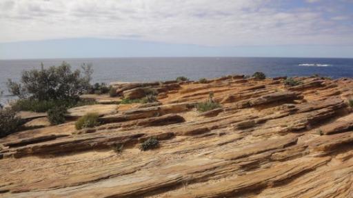 Sydney - Dunningham Reservaat