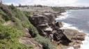 Sydney - Burrows Park