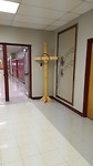 The cross
