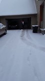 Sneeuwschuiven