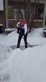 Sneeuwschuiven