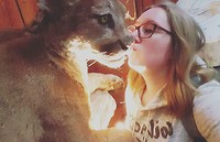 Hey, coyote. Will you be my Valentine?