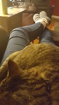 Chillebillen met Stitches