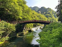 Nikko 3