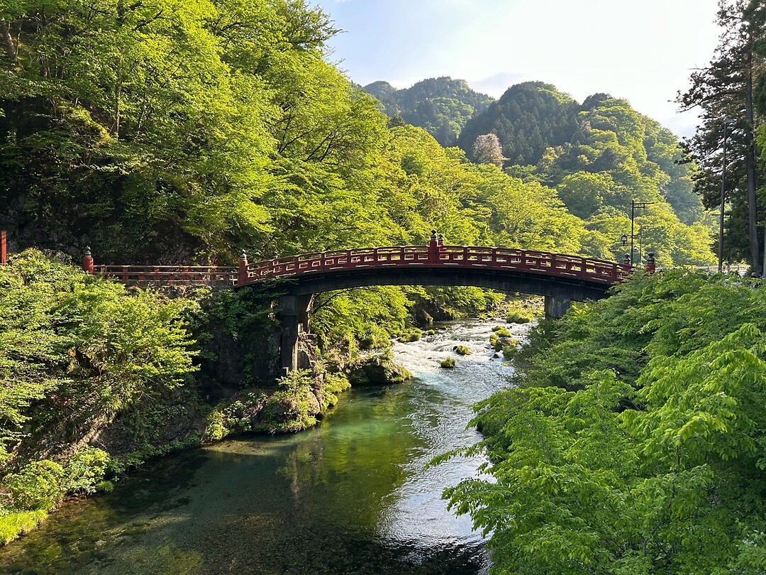 Nikko 3