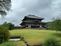 Nara 3