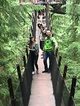 Treetop wandeling bij Capilano Bridge