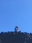 McKenzie Pass