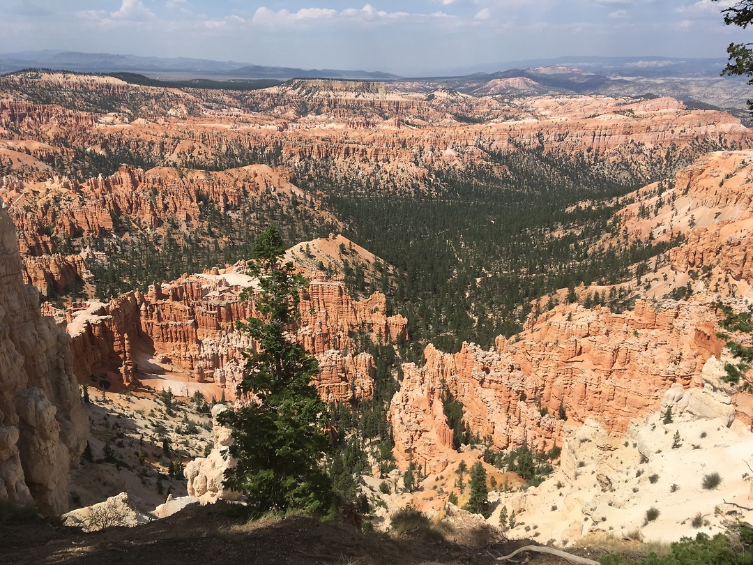 Bryce NP