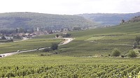 IMG-20180831-WA0018