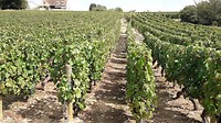 IMG-20180831-WA0014
