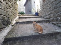 20180908_122928
