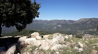 IMG-20180908-WA0022