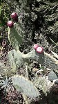 IMG-20180913-WA0002