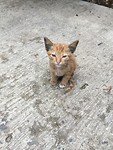 IMG_0570